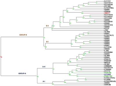 Identification of Allelic Variation in Drought Responsive Dehydrin Gene Based on Sequence Similarity in Chickpea (Cicer arietinum L.)